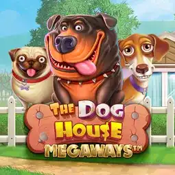 The Dog House Megaways game at Hopa Casino for United Kingdom players